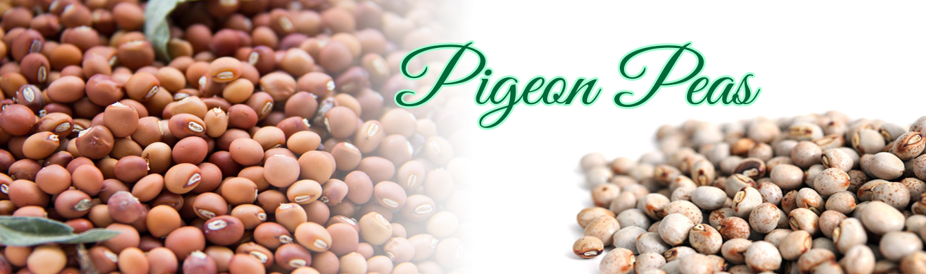 Pigeon Peas