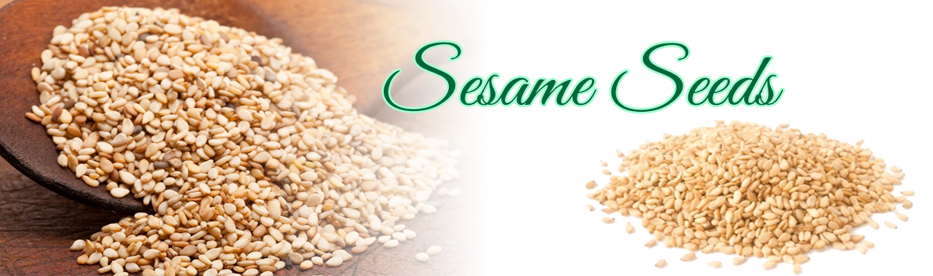 Sesame