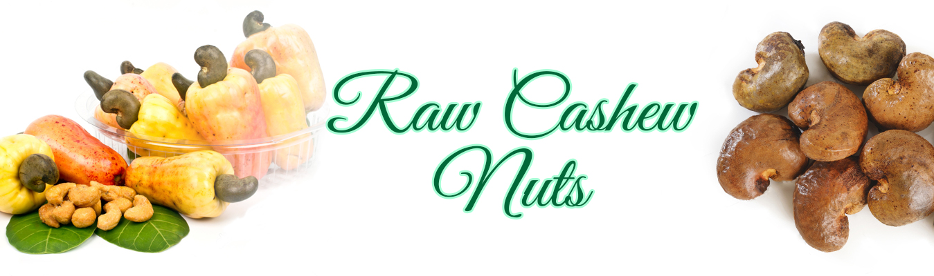 raw cashew